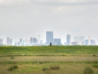 Wandelroute vanuit de stad naar het Rotterdams platteland