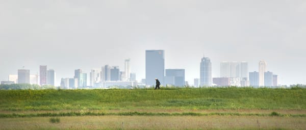 Bekijk de expositie 'Rotterdams Platteland' in Het Natuurhistorisch Bekijk de expositie 'Rotterdams Platteland' in Het Natuurhistorisch