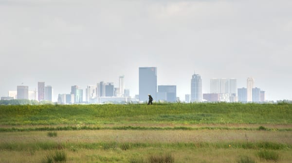 Wandelroute vanuit de stad naar het Rotterdams platteland