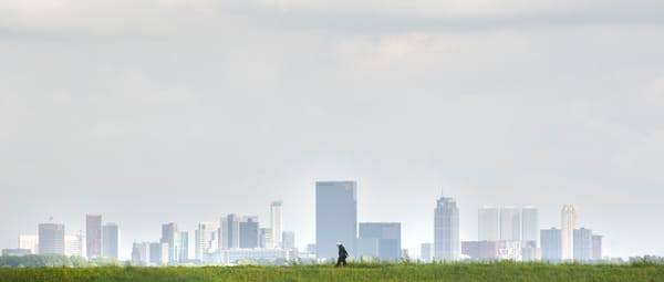 Bekijk de expositie 'Rotterdams Platteland' in Het Natuurhistorisch Bekijk de expositie 'Rotterdams Platteland' in Het Natuurhistorisch