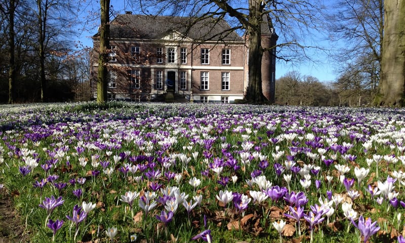 Bloementapijt op Hackfort