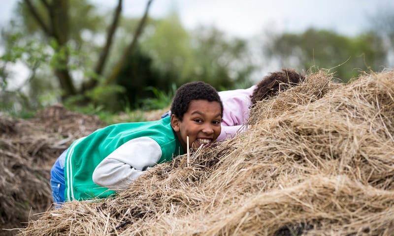 Herfstvakantie bij Belevenisboerderij Schieveen Herfstvakantie bij Belevenisboerderij Schieveen