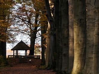 Gedichtenroute Henriette Roland Holst