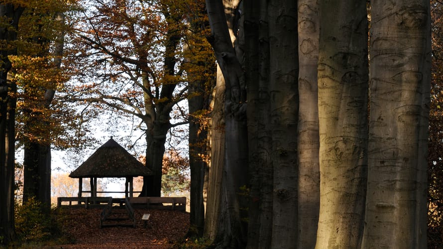 Gedichtenroute Henriette Roland Holst