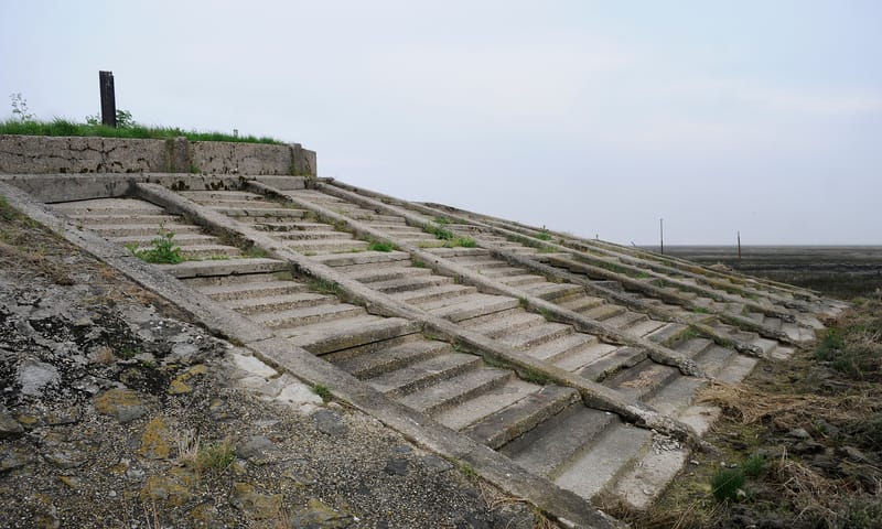 Trap haven Rattekaai