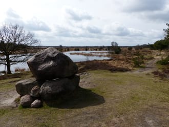 Rondje op de Kampina