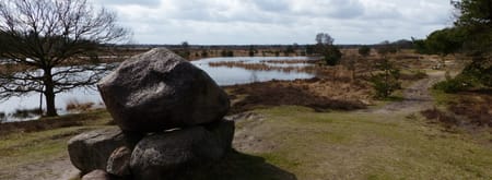 Rondje op de Kampina