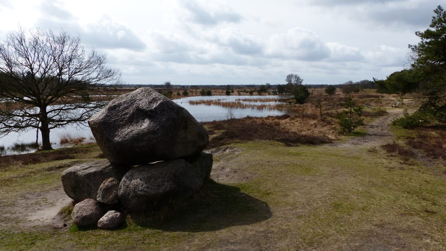 Rondje op de Kampina