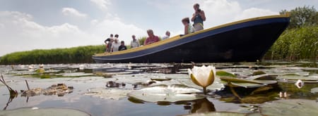Varen door natuurgebied Botshol