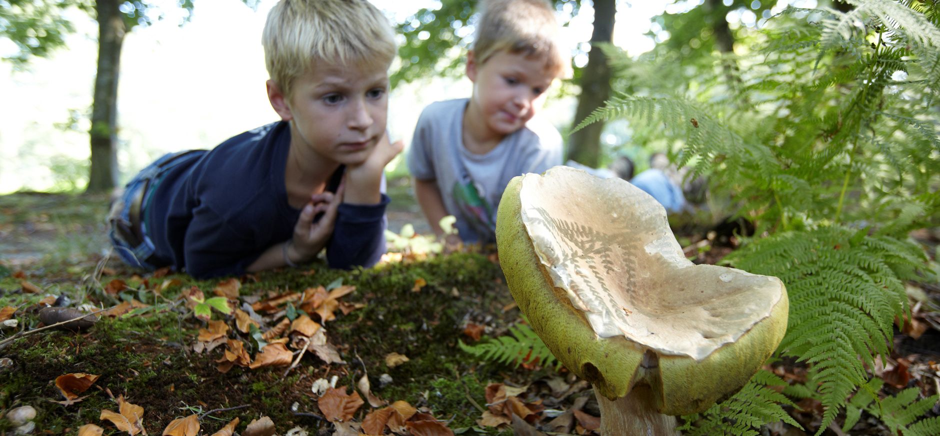 Villa Kiekendief bij Pimmetjespad