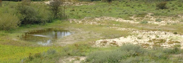 Uitzicht over de vallei