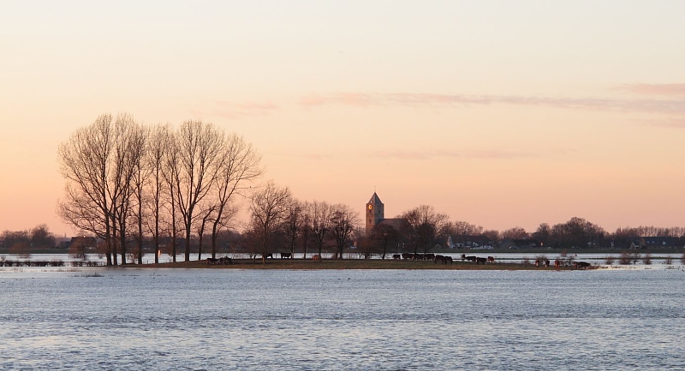 Winterse wandeling door de Vreugderijkerwaard