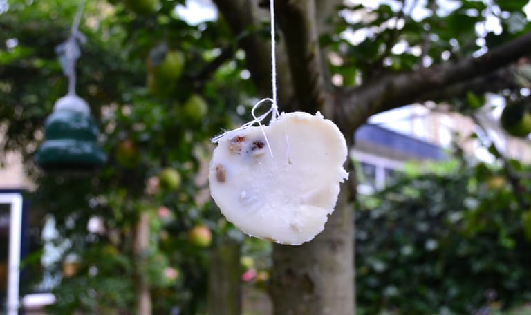 Zelf vetbollen maken