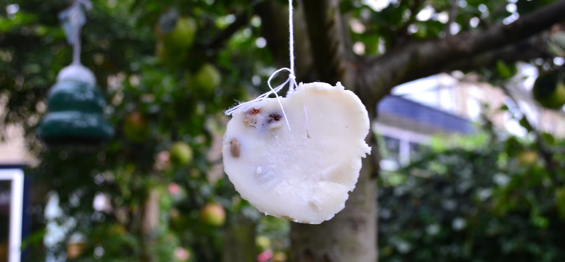 Zelf vetbollen maken