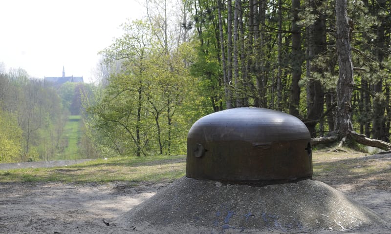 Walvisbunker
