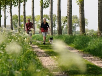 Wandelroute over de bloemdijken, vlakbij Goes