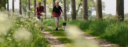 Wandelroute over de bloemdijken, vlakbij Goes
