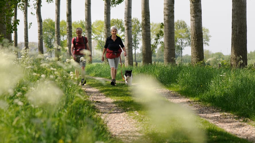 Wandelroute over de bloemdijken, vlakbij Goes