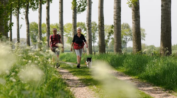 Wandelroute over de bloemdijken, vlakbij Goes