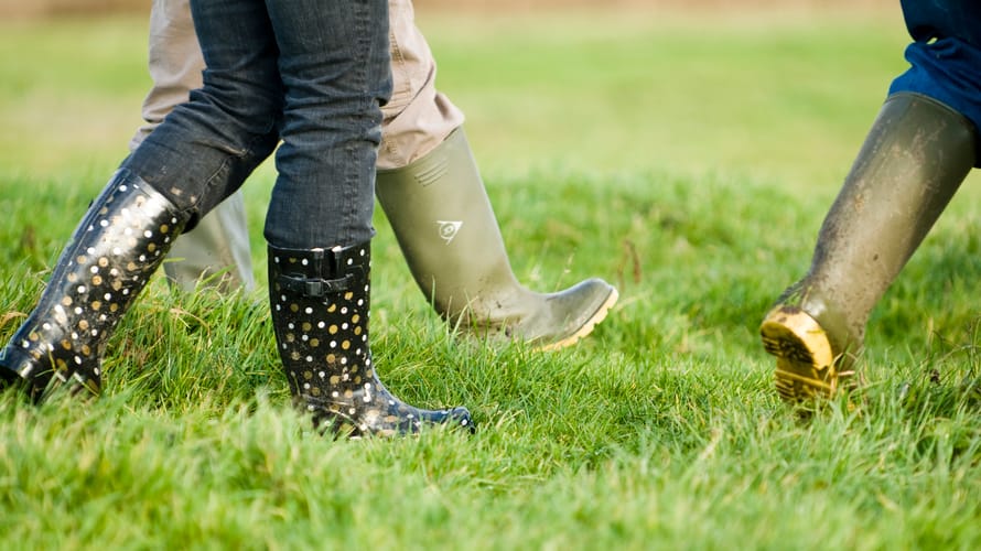 Laarzenpad bij Chaam