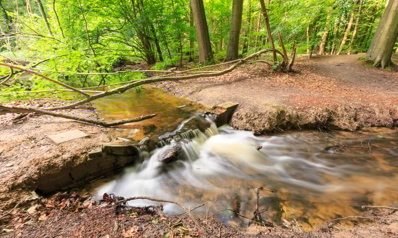 Waterloopkundige modellen in het Waterloopbos