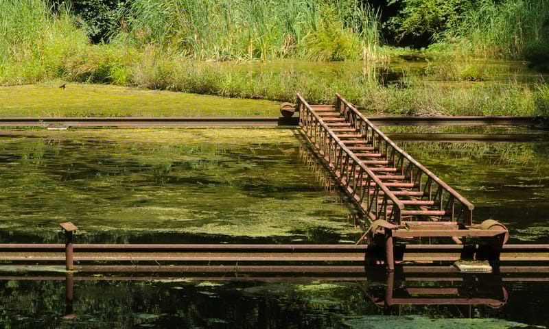 Verhaal over onze omgang met water
