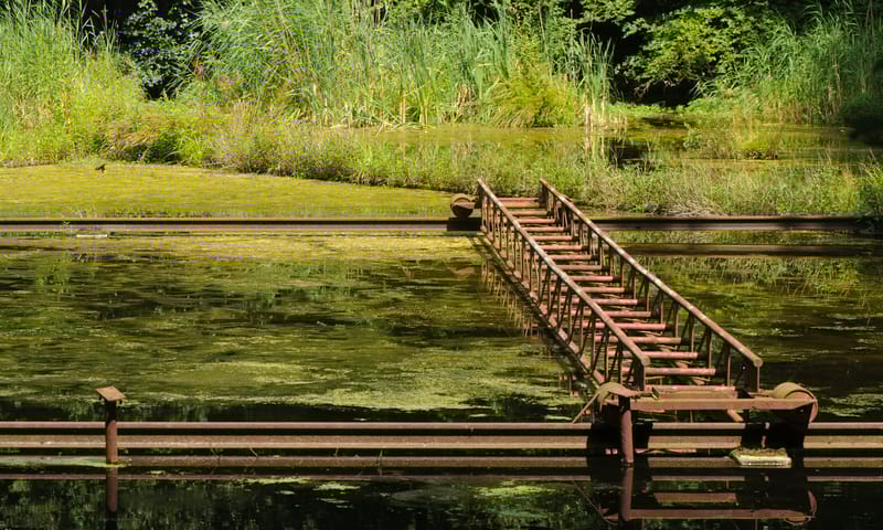 Verhaal over onze omgang met water