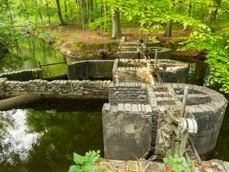 Waterloopkundige modellen in het Waterloopbos