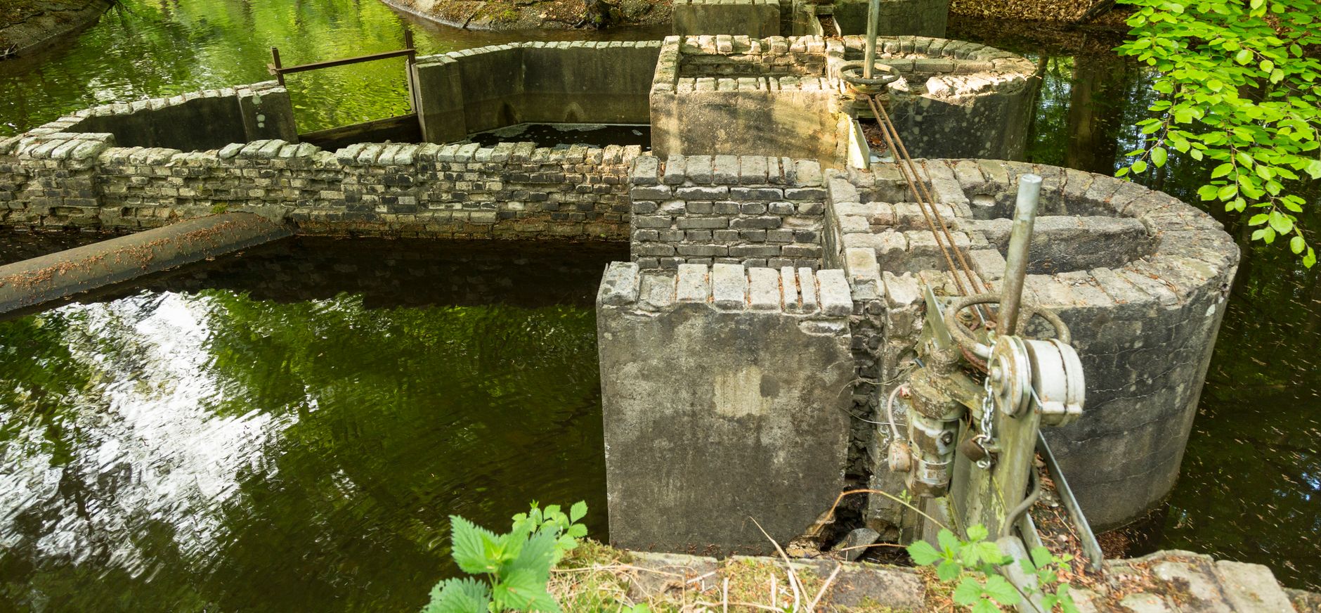 Waterloopkundige modellen in het Waterloopbos