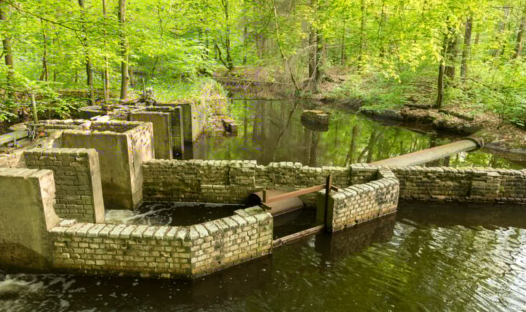 Groepsexcursie Waterloopbos- Wandelen met waterloopkundig gids