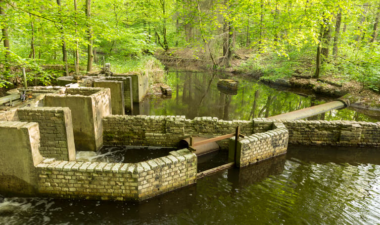 Groepsexcursie Waterloopbos- Wandelen met waterloopkundig gids
