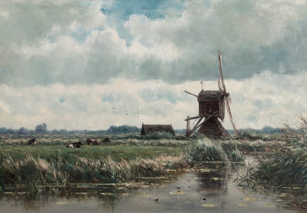 Drassig landschap
