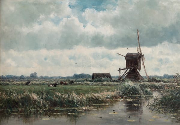 Drassig landschap Drassig landschap