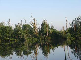 Vogelparadijs Ackerdijkse Plassen Vogelparadijs Ackerdijkse Plassen