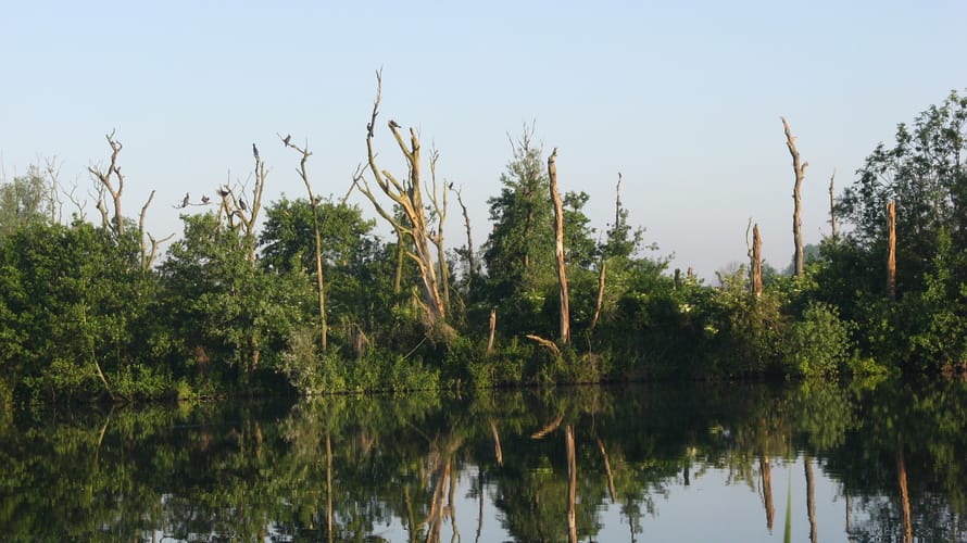 Vogelparadijs Ackerdijkse Plassen