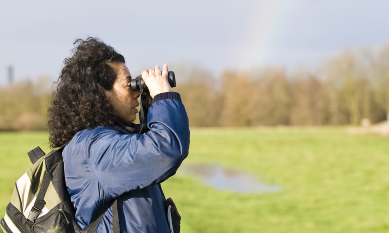 Wandelroute rond de Ackerdijkse Plassen, vlak bij Rotterdam