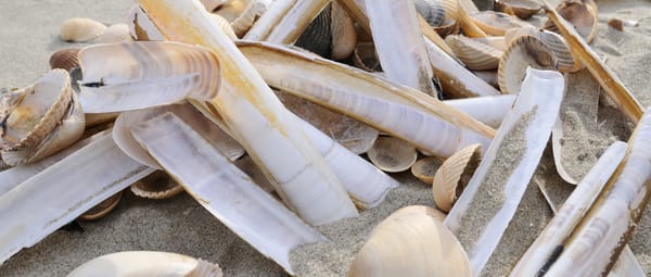 Uitwaaien op het strand Uitwaaien op het strand