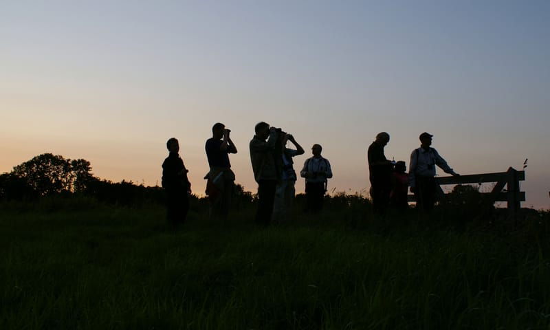 Avondwandeling door de Ackerdijkse Plassen