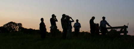 Avondwandeling door de Ackerdijkse Plassen