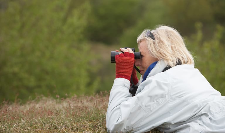 Uitkijkplateau Zeepeduinen