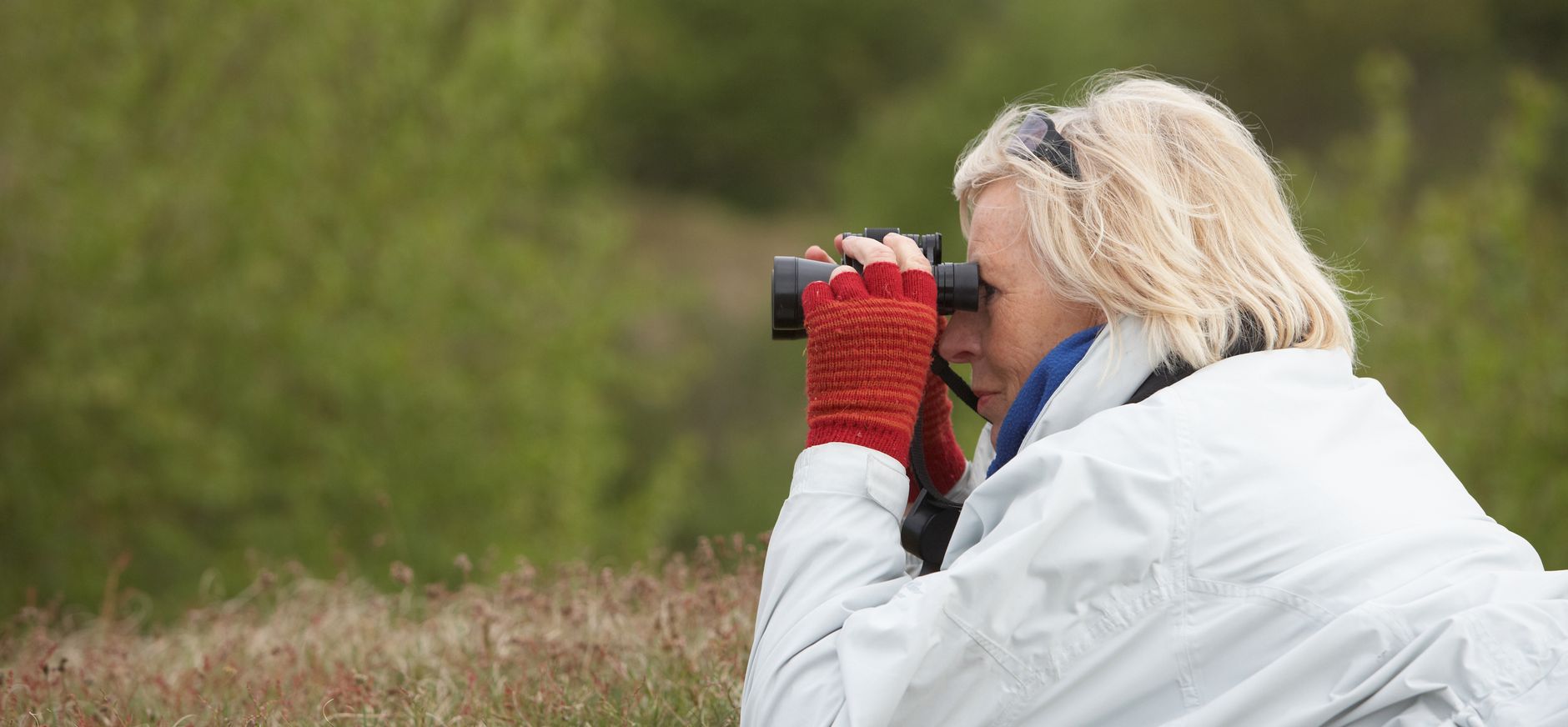 Uitkijkplateau Zeepeduinen