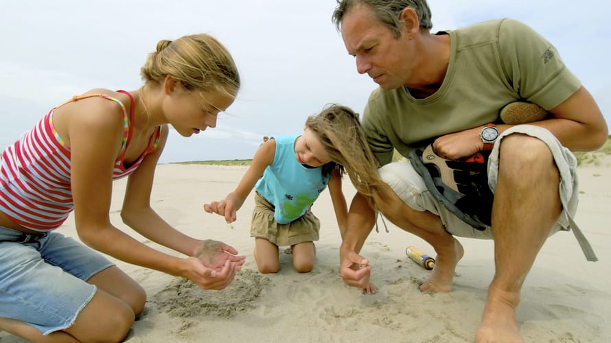 Wandelroute De Panroute in Voornes Duin, bij Rockanje