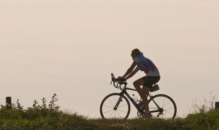 Fietsroute landgoederen in Nationaal Park Zuid-Kennemerland | Zuid