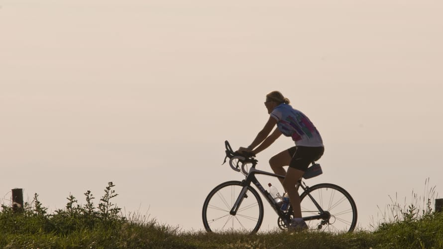 Fietsroute landgoederen in Nationaal Park Zuid-Kennemerland | Zuid