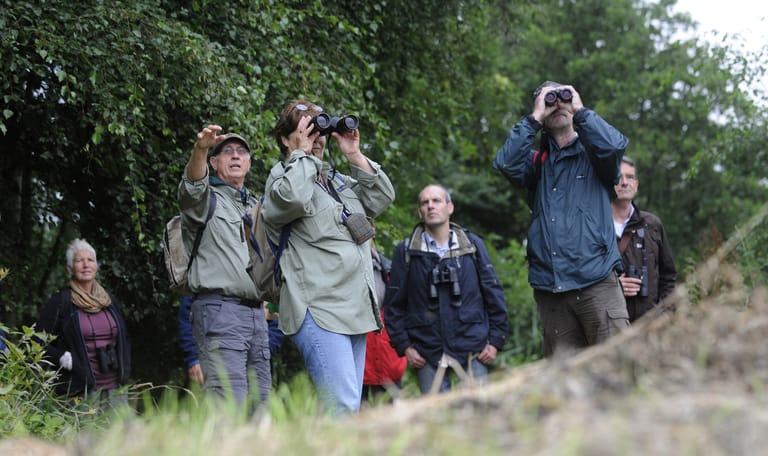 Wandelen en vogels kijken in Ackerdijkse Plassen