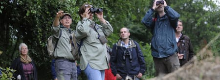 Wandelen en vogels kijken in Ackerdijkse Plassen