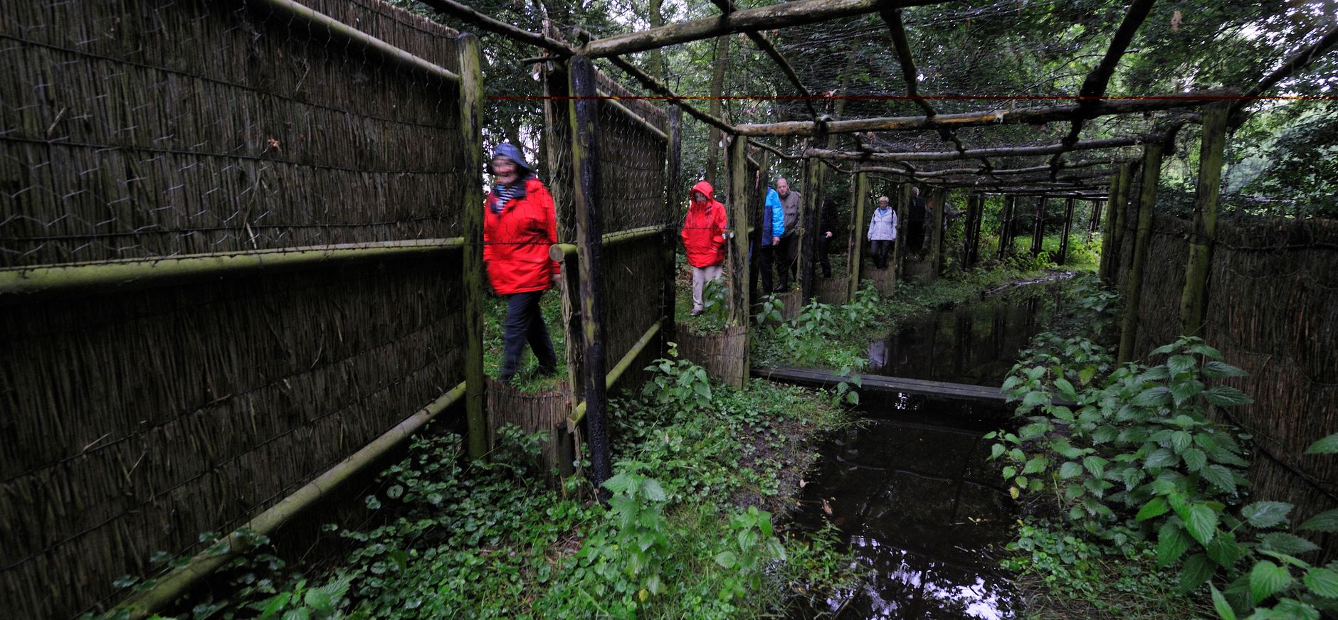 Groepswandeling door eendenkooi Het Aalkeetbuiten
