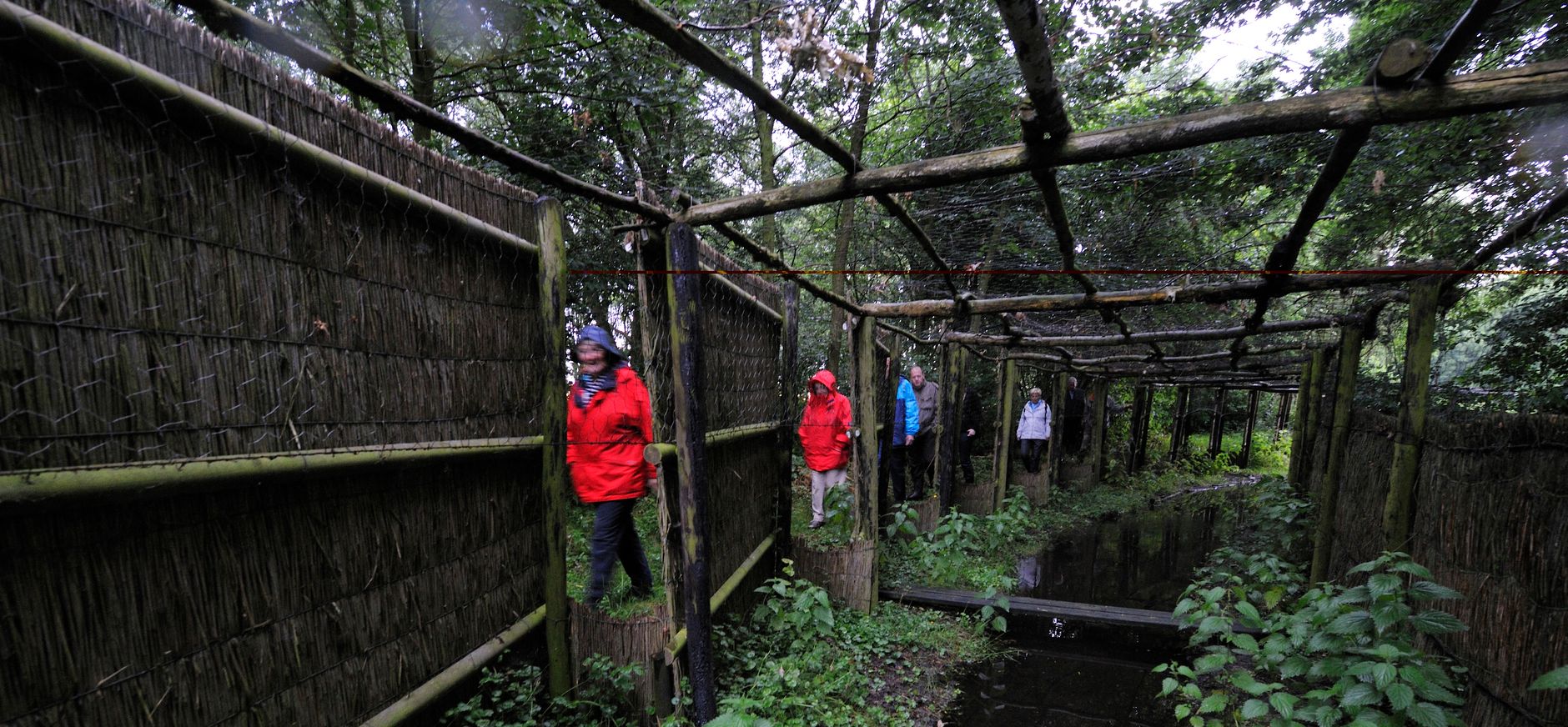 Groepswandeling door eendenkooi Het Aalkeetbuiten