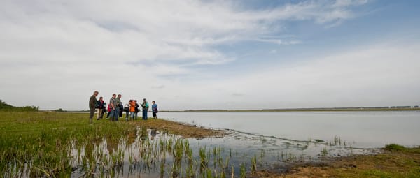 BN DeStem lezerswandeling: Dintelse Gorzen BN DeStem lezerswandeling: Dintelse Gorzen