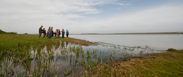 BN DeStem lezerswandeling: Dintelse Gorzen BN DeStem lezerswandeling: Dintelse Gorzen